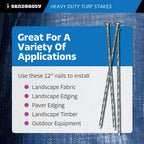 Sandbaggy 12" Heavy Duty Galvanized Artificial Turf Stakes - Spiral Landscape Nails - Ground Spikes/Pins, Synthetic Grass, Lawn, Edging, Weed Barrier Fabric (12 inch - Ultra Heavy Duty, 50, Count)