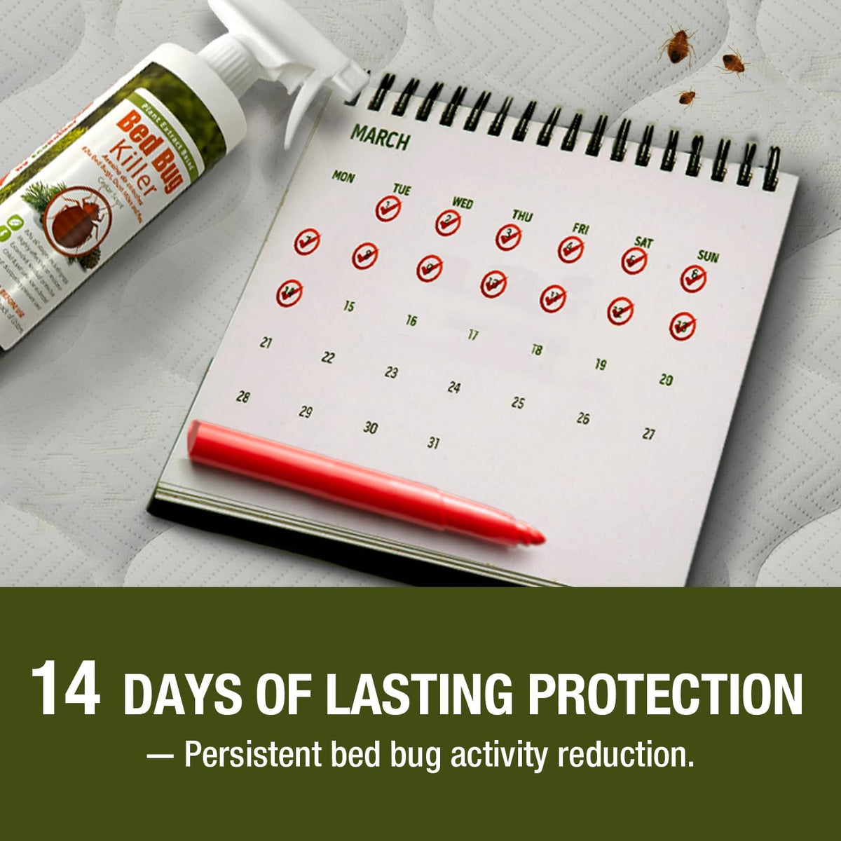 Bed Bug Killer 64 oz EcoVenger by EcoRaider, 100% Kill Efficacy, Bedbugs & Mites, Kills Eggs & The Resistant, Lasting Protection, USDA BIO-Certified, Plant Extract Based & Non-Toxic, Child & Pet Safe