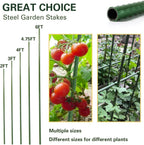 Plant Stakes 6ft, Steel Garden Stakes 6 Feet 25 Pack, Sturdy Plant Support for Climbing Plants, Tomatoes, Beans, Cucumbers, Peppers, Flowers, Potted, Strengthen and Stem to Grow Better