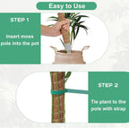 3 Pack Moss Pole, 30 Inch Monstera Plant Support， Moss Poles for Climbing Plants Indoor DIY, Coco Coir Plant Pole Moss Plant Stick Support Stake Kit for Potted Plants, Pothos, Philodendron