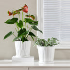 White 6 Inch Flower Pots for Plants,Ceramic Planter with Drainage Holes