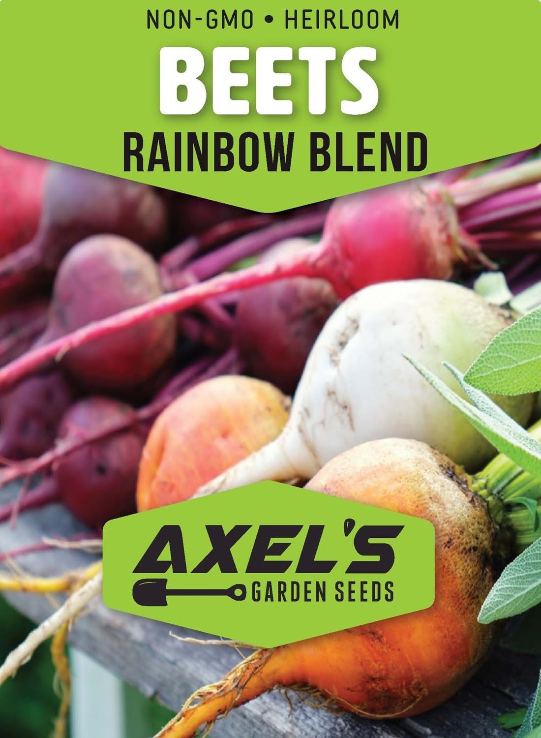 Rainbow Blend Beets for Planting – Plant & Grow Heirloom Rainbow Beets in Home Outdoor Vegetable Garden, Beta vulgaris – 5 Packets