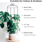 4 Pack 31'' Plant Trellis for Climbing Plants Indoor & Outdoor, Metal Trellis for Potted Plants, Plant Support for Houseplant, Vines, Pothos, Rose, Ivy, and Flowers, Black