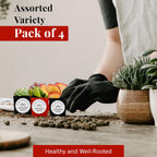 Live Succulents Plants Mystery Pack - Variety of Well Rooted Plants in 2 Inch Pots - Real, Small, Assorted Houseplants for Indoor, DIY, Home Decor, Wedding, or Birthday Gifts (4 Pack)