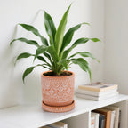 Suwimut Set of 2 Terracotta Plant Pots 4 Inch 6 Inch, Small Medium Clay Planter Pot, Ceramic Cactus Flower Succulent Pot with Drainage Hole and Saucer for Indoor Outdoor Plants