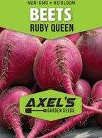 Ruby Queen Beet Seeds for Planting – Plant & Grow Heirloom Red Beets in Home Outdoor Vegetable Garden, Beta vulgaris – 1 Packet Approx 50 Seeds
