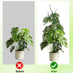 6 Pack Stackable Monstera Plant Support, Plant Stakes for Indoor and Outdoor Plants Use, Garden Stakes for Climbing and Potted Plants, Pothos, Philodendron
