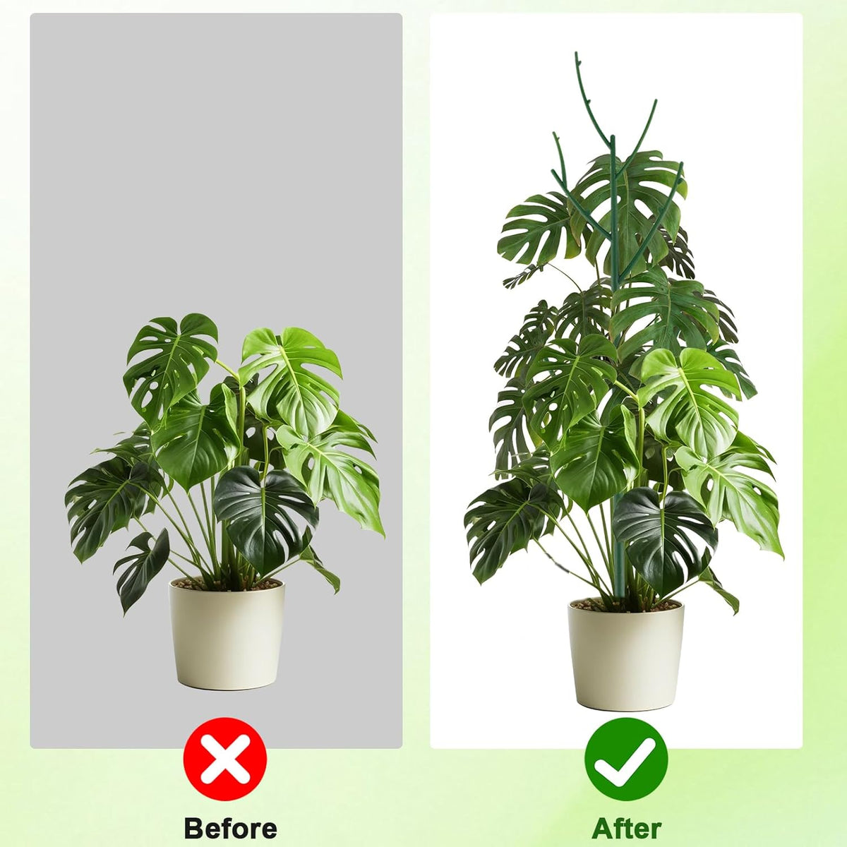 6 Pack Stackable Monstera Plant Support, Plant Stakes for Indoor and Outdoor Plants Use, Garden Stakes for Climbing and Potted Plants, Pothos, Philodendron