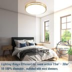 24 inch Gold Ceiling Light Fixture 48W, LED Dimmable Close to Ceiling Light Fixture 5CCT, Modern Flush Mount Ceiling Light for Living Room, Bedroom, Bathroom, Kitchen