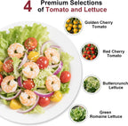 Spring Mix Salad Seed Pod Kit for AeroGarden, idoo, Ahopegarden, MUFGA with Red Cherry Tomato, Golden Cherry Tomato, Buttercrunch Lettuce, and Green Romaine Lettuce - Compatible with All Garden(7-Pod)