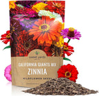 Bulk Zinnia Seeds - California Giants Mix - Bulk 1/4 Pound Bag Over 12,000 Flower Seeds - Mixed Colors and Large Blooms