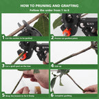 FUJIWARA 3-in-1 Garden Grafting Tool, Pruning Scissors Kit, U/V/Omega-Graft Seedling for Fruit Tree Grafting Set,Including 2X Tapes, Plant Tags,Plant Clips,Grafting Knife & Replacement Blades