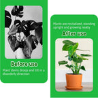 16pcs Climbing Houseplant Stem Supports,Plant Stems Supports for Indoor Plants with 4 Sizes,Reusable Plant stabilizer,Plants Accessories Stems Hook Growth for PlantsGarden (Green)