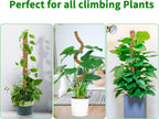 2 Pack 48 Inch Moss Pole Monstera Plant Support, Coir Moss Poles for Climbing Indoor Plants, Bendable Plant Stake Trellis for Potted Plant, Pothos, Philodendron