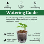 Bluepro Self Watering Pots for Indoor Plants, 4/5/6.5 Inch, 18-Pack