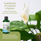 Professional Liquid Peace Lily Plant Fertilizer | 3-1-2 Concentrate for Plants and Flowers | Multi-Purpose Blend & Gardening Supplies | 8 oz Bottle