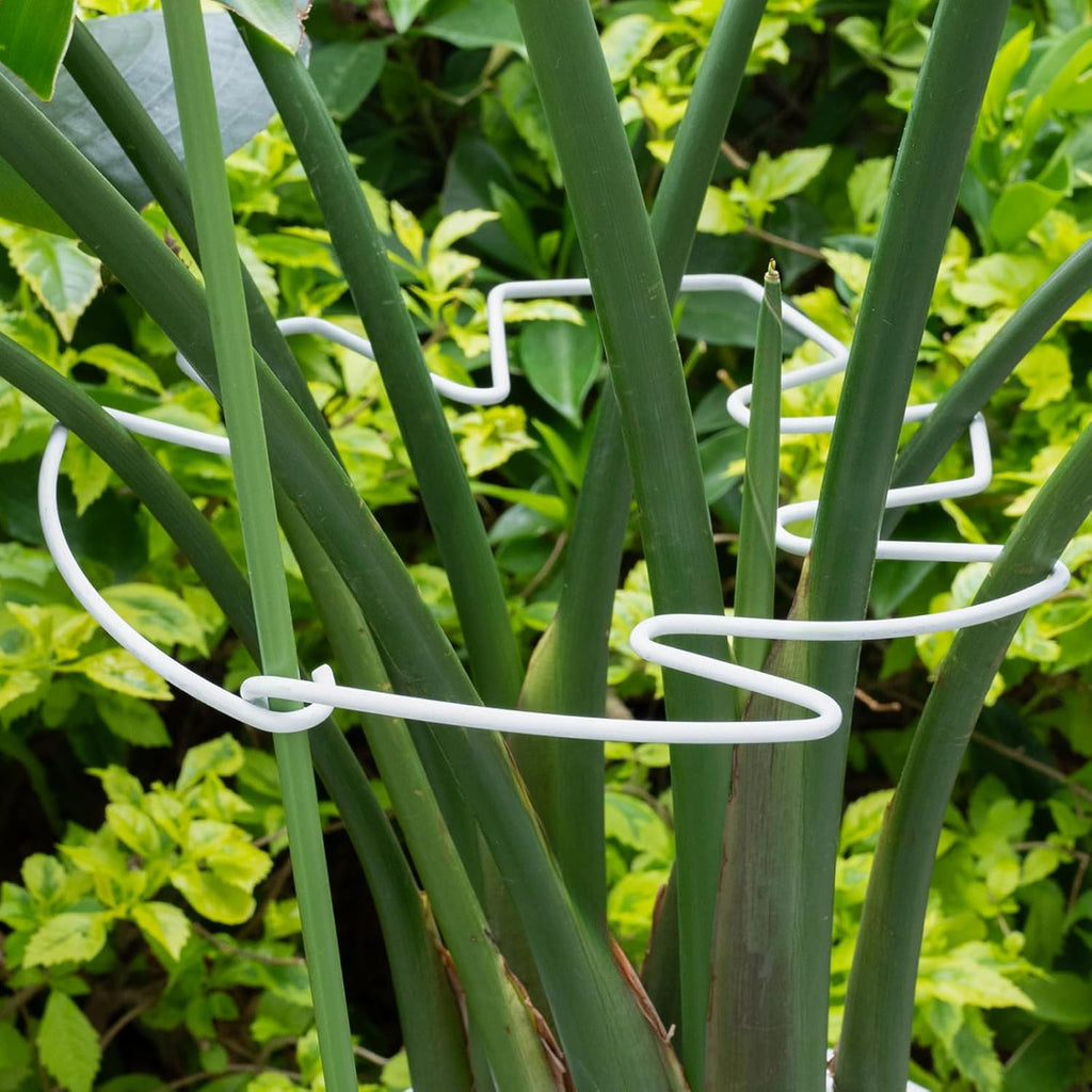 5PCS Monstera Plant Stem Support White - 11x9.4 inches, Durable Adjustable Leaf Supports for Indoor Plants, Fishbone Cactus Stake Holder for Garden Stability