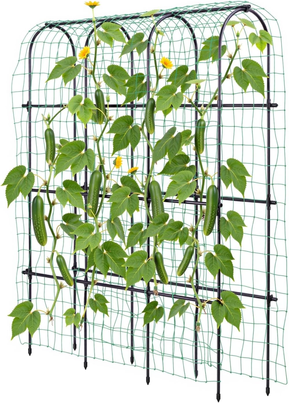 Idzo Arched Trellis for Raised Garden Bed, 70in Stainless Steel Tunnel Vegetable Trellis w PE Coating Protects Against Rust, Space-Saving Cucumber Trellis for Climbing Plants Outdoor, Easy to Maintain