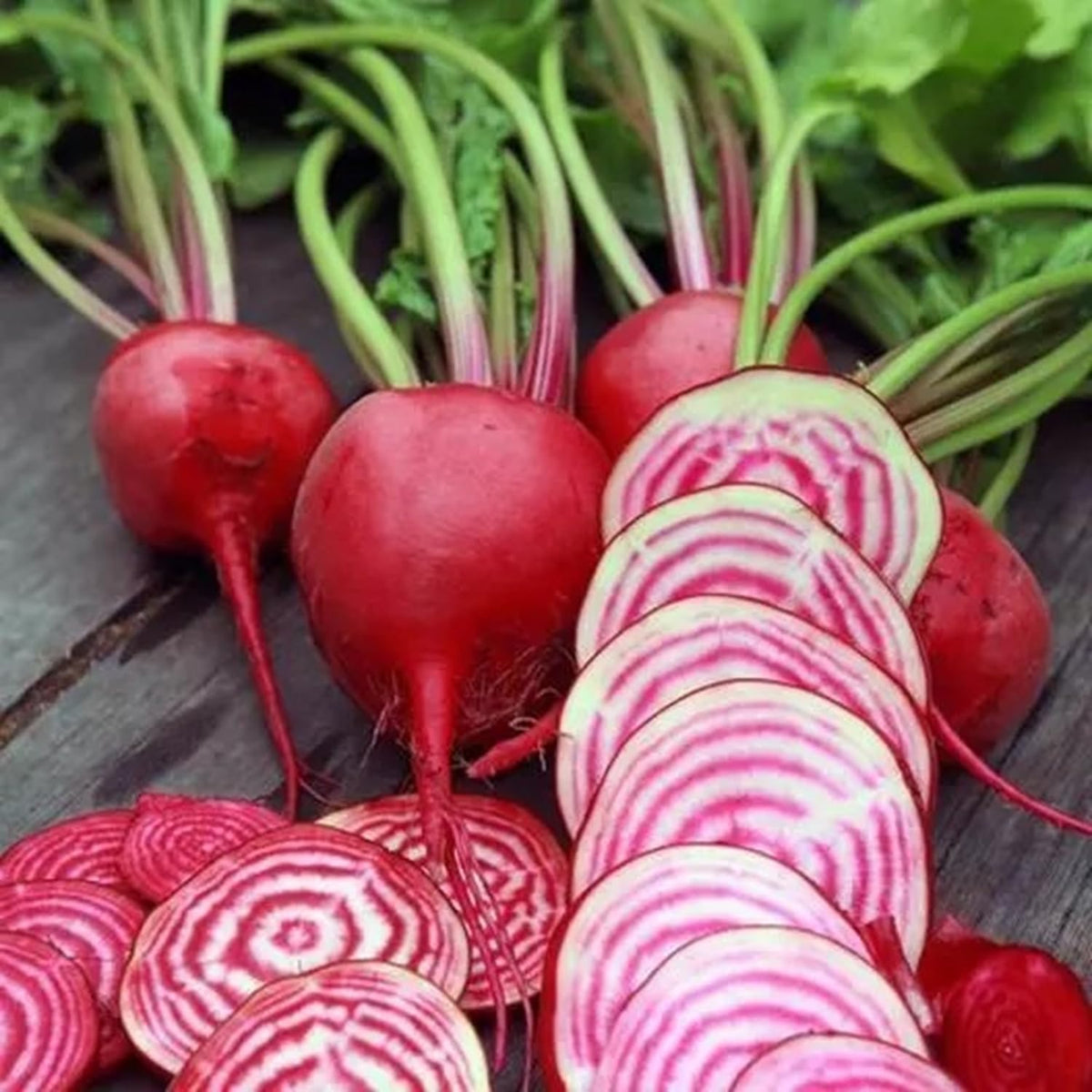Chioggia Beet Seeds for Planting – Plant & Grow Heirloom Chioggia Beets in Home Outdoor Vegetable Garden, Beta vulgaris – 2 Packets