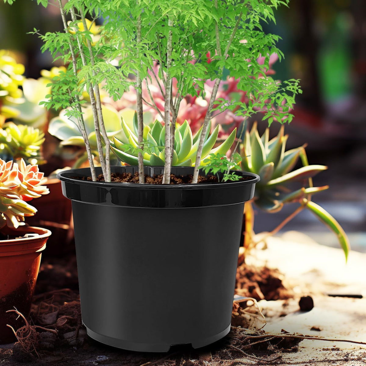 5 Gallon Nursery Pots 10-Pack, 12 Inch Plastic Planter with Drainage Holes – Round, Sturdy, Deep Design for Indoor/Outdoor Plants