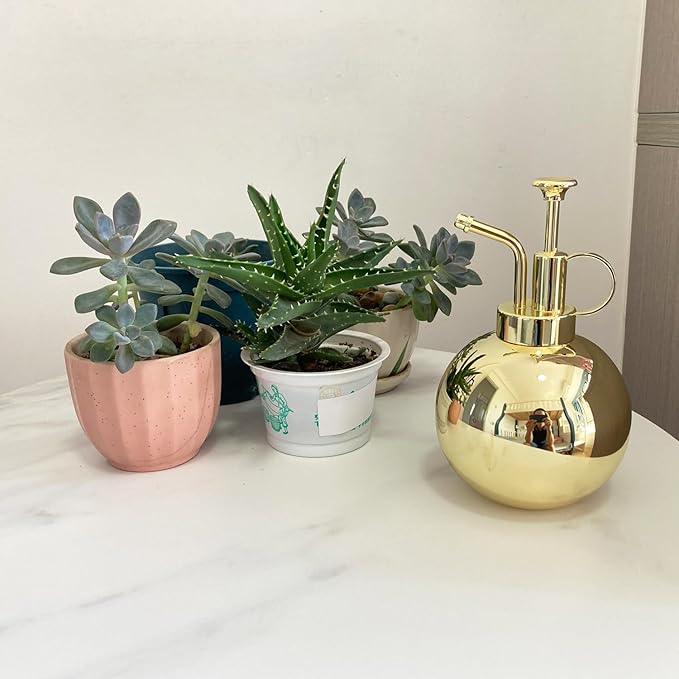 Stainless Steel Plant Sprayer, Small Watering Can, Modern Gardening Tool for Indoor Potted Plants, Gold Color