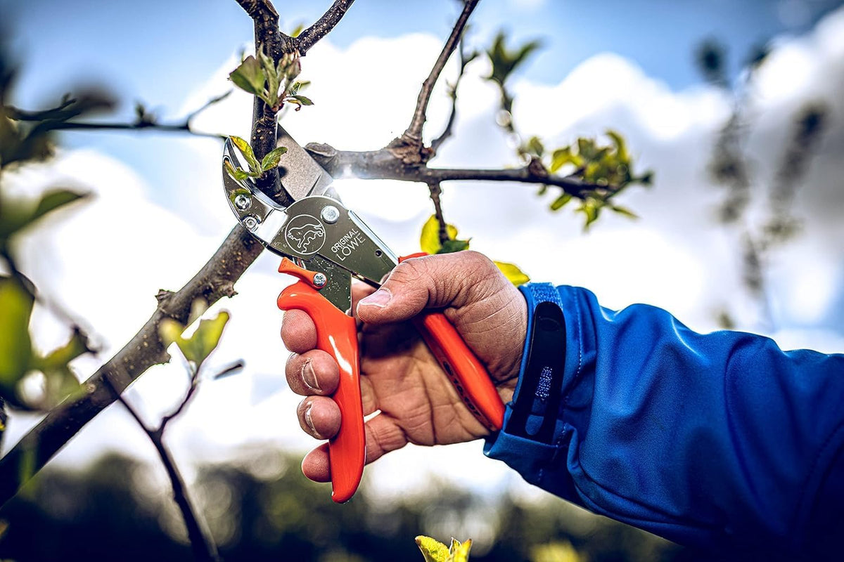 Original LÖWE 10 Professional Anvil Pruning Shears 10.107 with Bypass Geometry - Innovative Sharp Shears with Ergonomic Handles and Non-Stick Steel Blade for Pruning Work in Orcharding