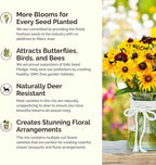 Eden Brothers Minnesota Wildflower Mixed Seeds for Planting, 1 oz, 30,000+ Seeds with Cornflower, Blanket Flower | Attracts Pollinators, Plant in Spring or Fall, Zones