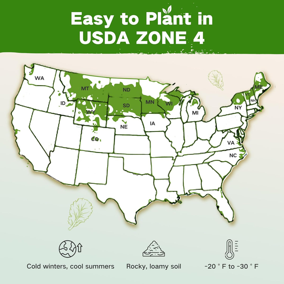 Lush&Dew Year-Round USDA Zone 4 Seed Bank, 32 Varieties Non-GMO Heirloom Seeds of Vegetables, Herbs, Gardening Gifts for Women Men, Emergency Survival Kit for Raised Garden Bed, Greenhouse