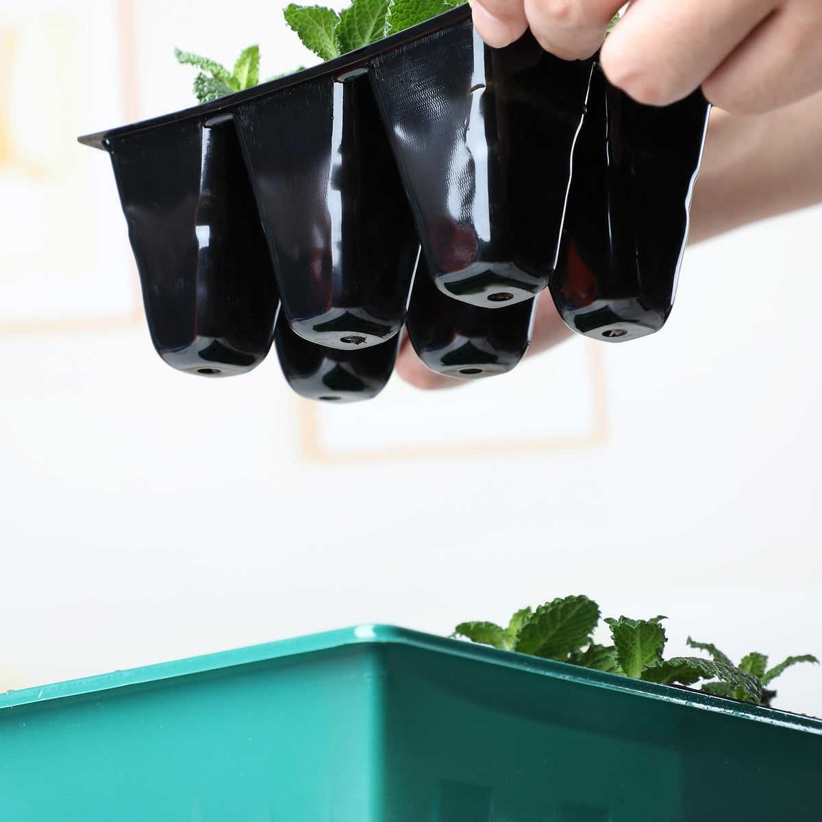 Mr. Pen- Seed Starter Tray Kits, 6.6"x4.6", 10 Set, Total 120 Cells