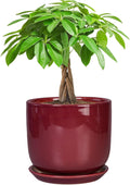 Ceramic Planter for Plants - Round Modern 7 Inch Plant Pot Indoor with Drainage Hole and Saucer, Home Patio Office Apartment Decor, Red