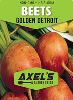 Golden Detroit Beet Seeds for Planting – Plant & Grow Heirloom Golden Detroit Beets in Home Outdoor Vegetable Garden, Beta vulgaris – 3 Packets