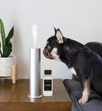 Aroma Scent Diffuser Starter Kit for Up to 1000SQ. FT. Coverage - 120ML Waterless Essential Oil Scent Included - Luxury Aroma Diffuser Ideal for Home, Office & Hotel (Silver, Iconic)