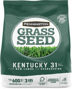 Pennington Kentucky 31 Tall Fescue Penkoted Grass Seed 3 lb