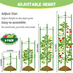 Legigo 6-Pack Tomato Cage for Garden Plant Support- Up to 48inch Garden Stakes Tomato Cage, Tomato Trellis for Potted Plants, Tomato Cages Plant Stakes for Climbing Vegetables Plants Flowers