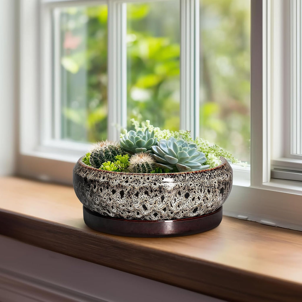 Bonsai Pots - 8 Inch Ceramic Pots for Plants with Drainage Hole and Saucer, Round Succulent Pot, Bonsai Planters Indoor Outdoor, Shallow Planter Bowl, Patio Decor, Gardening Gift, White