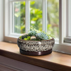 Bonsai Pots - 8 Inch Ceramic Pots for Plants with Drainage Hole and Saucer, Round Succulent Pot, Bonsai Planters Indoor Outdoor, Shallow Planter Bowl, Patio Decor, Gardening Gift, White