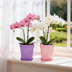 Hedume 70 Pack Mini Plastic Flower Seedling Nursery Pot with Pallet, 3" Colorful Square Plant Pot, Indoor Outdoor Flower Plant Container, Decor for Room, Garden, Office and Balcony (7 Colors)