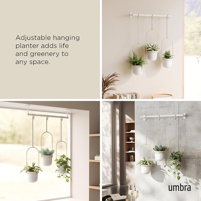 Umbra Triflora Hanging Planter for Window, Indoor Herb Garden, Set of 3, White/Brass