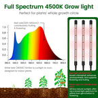 SOLIGT 60 Cell Seed Starter Tray Kit with Grow Light and Heat Mat