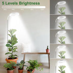 wolezek Grow Lights for Indoor Plants Full Spectrum, 80 LEDs 3 Colors Grow Light, 65in Large Plant Lights for Indoor Growing with 360°Gooseneck, 6/12/16H Timer, 5 Brightness, Height Adjustable, White