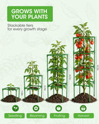 MQHUAYU 3 Pack Tomato Cages,Square Tomato Plant Stakes Support Cages Trellis for Garden Climbing Vegetables Flowers Fruits,Extra Bold