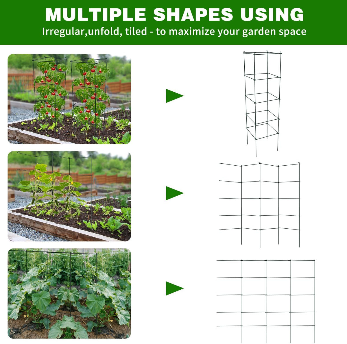 6 Packs Tomato Cages for Garden, 12"×12"×48" Plant Support Cage with Different Spacing, Green Metal Trellis for Climbing Plants Like Cucumber, Flowers