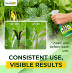 Nature’s MACE Outdoor Pest Repellent Spray – Kills & Repels Multiple Insect Types – Treats Lawns, Shrubs, and Patios – Safe for Family, Pets, and Plants – Essential Oil Formula with Fresh Scent – 40oz