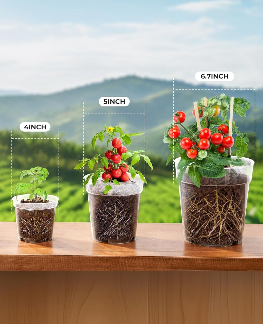 homenote Clear Nursery Pots for Plants,4/5/6.7 Inch Plant Pot for Planting Plastic Seedling Pots with Drainage Holes Seed Starter Pot Flower Pots High Transparency with 20 Plant Labels (30 Pack)