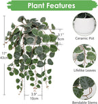 Briful Fake Plants Indoor 16'' Artificial String of Hearts Plants with Ceramic Pot Faux Draping Vine Plants for Home Bathroom Table Shelf Office Hotel Decor