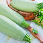 Squash Seeds - Summer - Vegetable Marrow White Bush - 1 Oz ~250 Seeds - Cucurbita Pepo - Non-GMO, Heirloom - Farm & Vegetable Garden