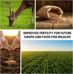 CZ Grain 22 lbs Open-Pollinated Rye Seeds – Non-GMO, Premium Cover Crop, Forage, Food Plot, Soil Builder, Erosion Control, Deer & Wildlife Friendly, Fast-Growing and Hardy