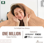 Pizuna Pure 100% Cotton Queen Duvet Cover Set, Luxurious 400 Thread Count Long Staple Cotton Sateen Weave with Button Closure (Combed Peach Cotton Duvet Cover Queen)
