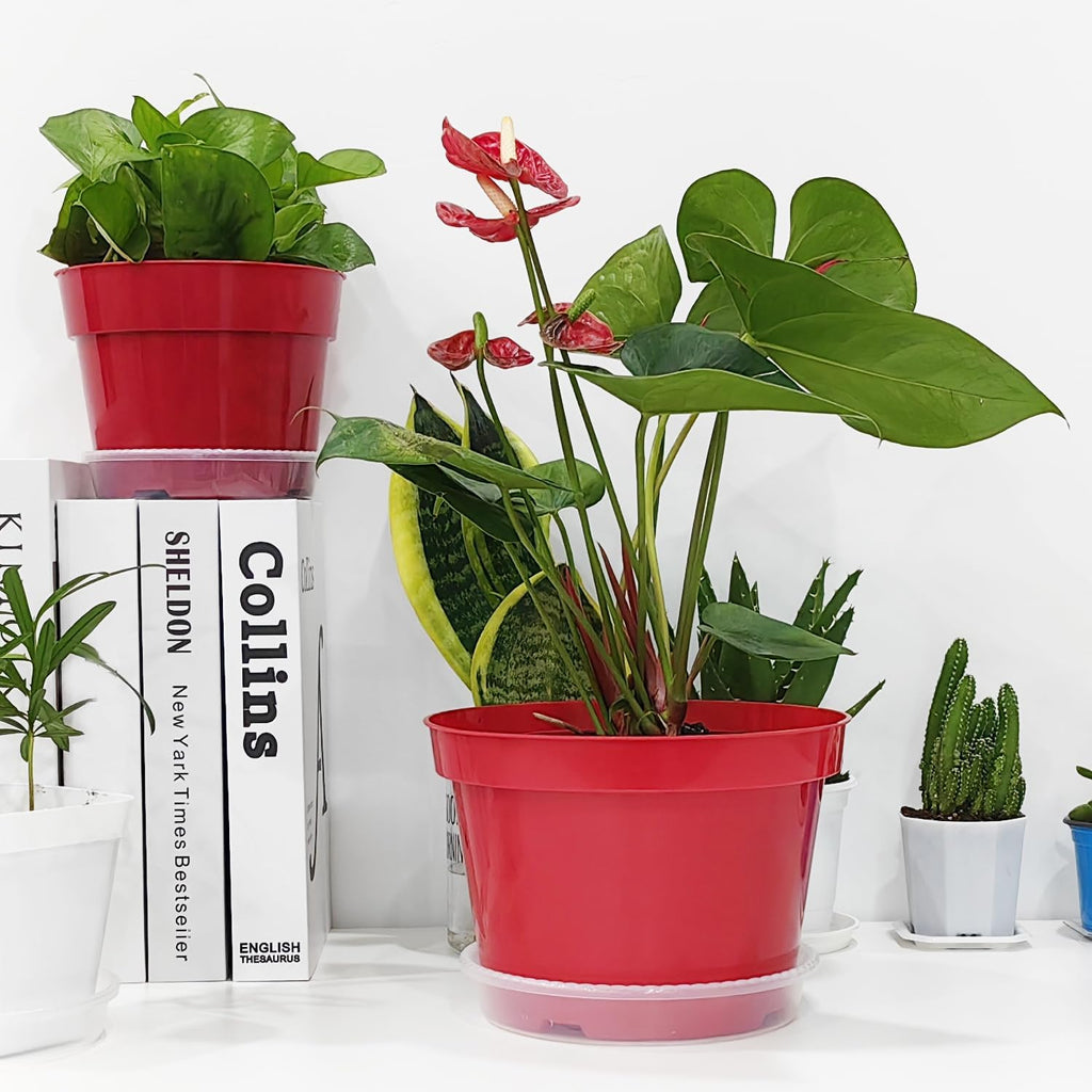 8 inch Plastic Flower Pots, Red Plant Pots 12Pack with Saucers for Indoor House Plants Growing and Decoration