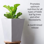 Fiddle Leaf Fig and House Plant Fertilizer Pellets |16-5-11 Slow Release Pellets for Seedlings and Mature Houseplants | Multi-Purpose Blend & Gardening Supplies| 5.2 oz Resealable Packaging